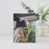 Britse korthaar reflectie in venster foto briefkaart (Staand voorkant)