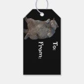 Britse korthaar vet kat liggend op rug cadeaulabel (Voorkant)