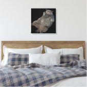 Britse korthaar vet kat liggend op rug canvas afdruk (Insitu (Slaapkamer))