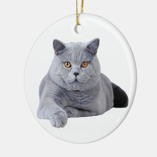 Britse kustkat keramisch ornament (Links)
