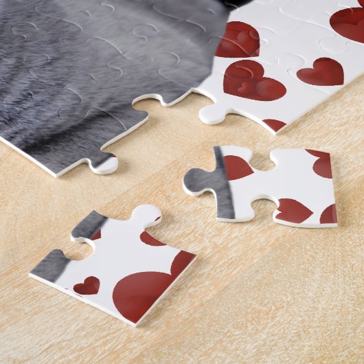 Britse kustkat legpuzzel (Zijkant)