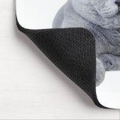 Britse kustkat muismat (Hoek)