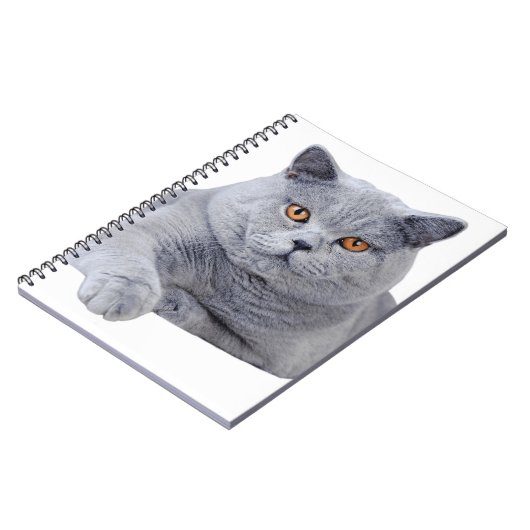 Britse kustkat notitieboek (Linkerzijde)