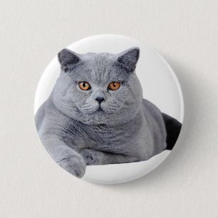 Britse kustkat ronde button 5,7 cm
