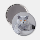 Britse kustwacht magneet (Voorkant / Achterkant)