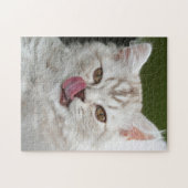 Britse Longhair Kitten - Chocolade, Zilveren Tabby Legpuzzel (Horizontaal)