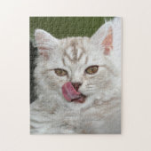 Britse Longhair Kitten - Chocolade, Zilveren Tabby Legpuzzel (Verticaal)