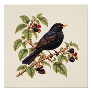 Britse Merel op Braamstruik Botanisch Perfect Poster