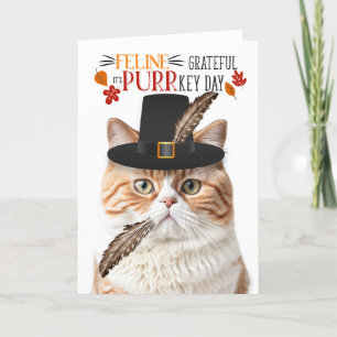 Britse Oranje kat katachtige dankbaar voor PURRkey Feestdagen Kaart