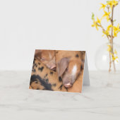 Britse Oxford Sandy & Black Schattige Biggetjes  Kaart (Gele Bloem)