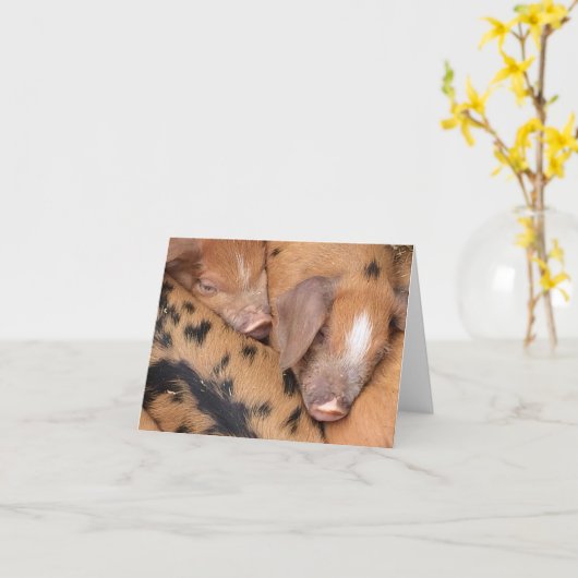 Britse Oxford Sandy & Black Schattige Biggetjes  Kaart (Gele Bloem)