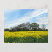 Britse platteland briefkaart (Voorkant)