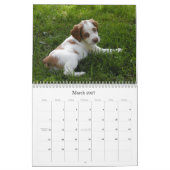 Britse Puppies Agenda 2009 Kalender (Mar 2027)