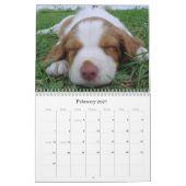 Britse Puppies Agenda 2009 Kalender (Feb 2027)