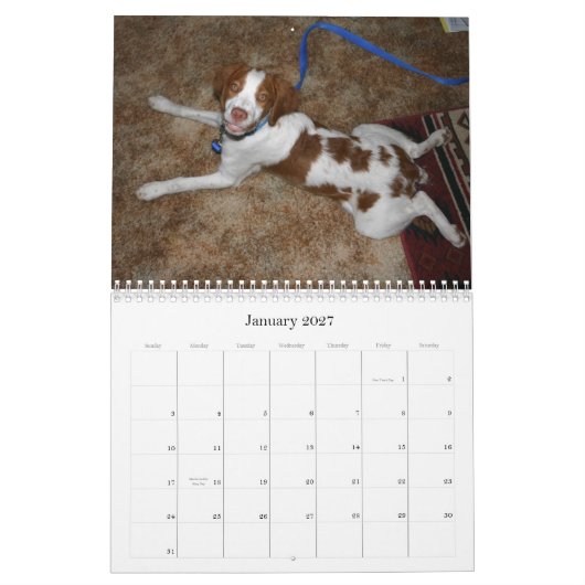 Britse Puppies Agenda 2009 Kalender (Jan 2027)