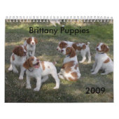 Britse Puppies Agenda 2009 Kalender (Hoes)