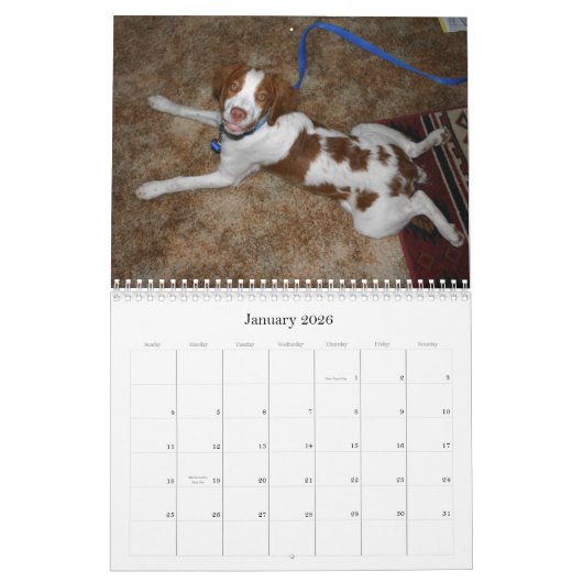 Britse Puppies Agenda 2009 Kalender (Jan 2026)