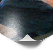 Britse Shorthair Cat Kat open haard Foto Afdruk (Hoek)