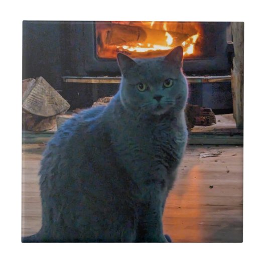 Britse Shorthair Cat Kat open haard Tegeltje (Voorkant)