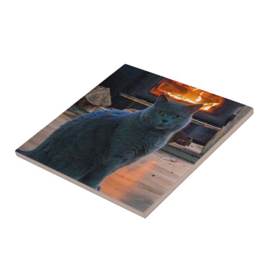 Britse Shorthair Cat Kat open haard Tegeltje (Zijkant)