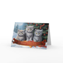 Britse shorthair kittens kerstkaart
