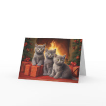 Britse shorthair kittens kerstkaart
