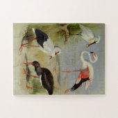 Britse vogels, kunstillustraties legpuzzel (Horizontaal)