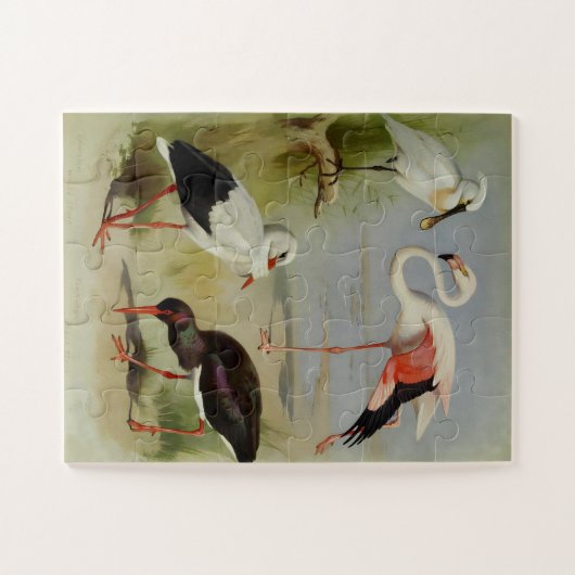 Britse vogels, kunstillustraties legpuzzel (Horizontaal)