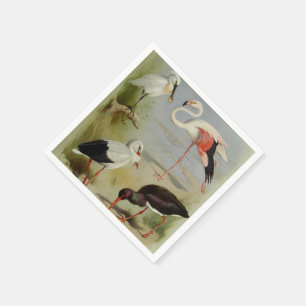 Britse vogels, kunstillustraties servet