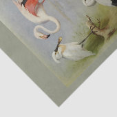 Britse vogels, kunstillustraties tissuepapier (Detail)