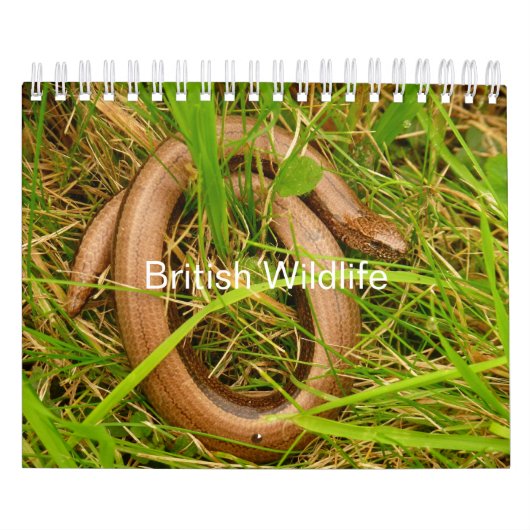Britse Wildlife Kalender (Hoes)