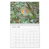 Britse Wildlife Kalender (Jan 2027)