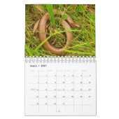 Britse Wildlife Kalender (Mar 2027)