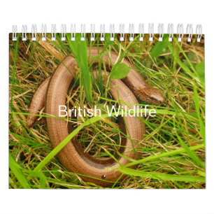 Britse Wildlife Kalender