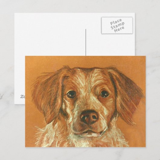 Brittany Briefkaart (Voorkant / Achterkant)