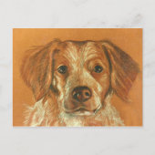 Brittany Briefkaart (Voorkant)