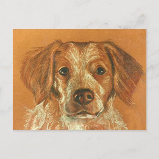 Brittany Briefkaart (Voorkant)