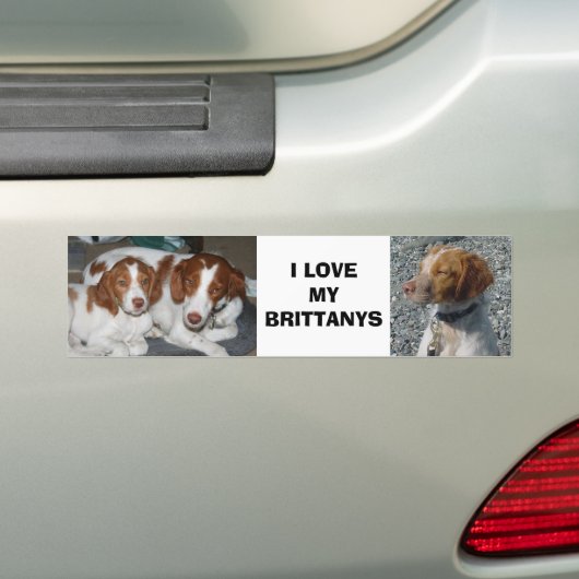 Brittany Bumpersticker (Op auto)