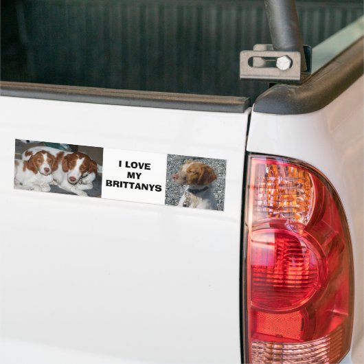 Brittany Bumpersticker (Op Truck)