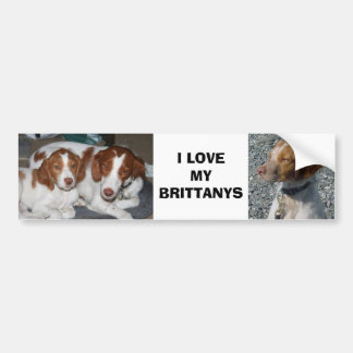 Brittany Bumpersticker