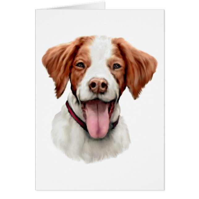 Brittany Bust (Voorkant)