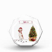 Brittany Funny kersthond en boom Fotoblokken (Voorkant)