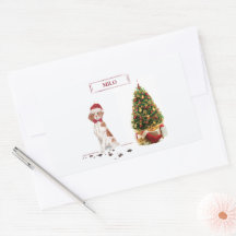 Brittany Funny kersthond en boom