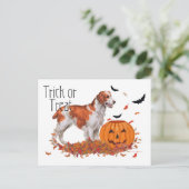 Brittany Halloween Briefkaart (Staand voorkant)