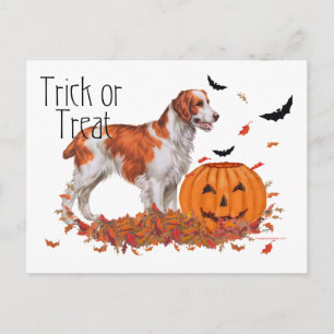 Brittany Halloween Briefkaart
