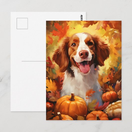 Brittany hond herfst thanksgiving  briefkaart (Voorkant / Achterkant)