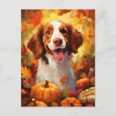 Brittany hond herfst thanksgiving  briefkaart (Voorkant)