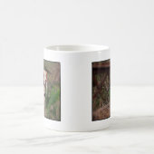 Brittany Koffiemok (Center)