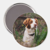 Brittany Magneet (Voorkant / Achterkant)