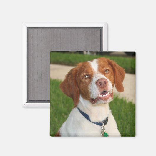 Brittany Magnet (Voorkant / Achterkant)